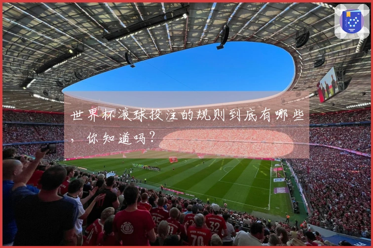 世界杯滚球投注的规则到底有哪些，你知道吗？
