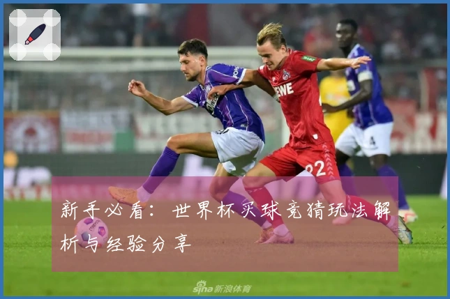 新手必看：世界杯买球竞猜玩法解析与经验分享